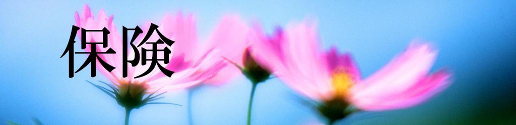 保険